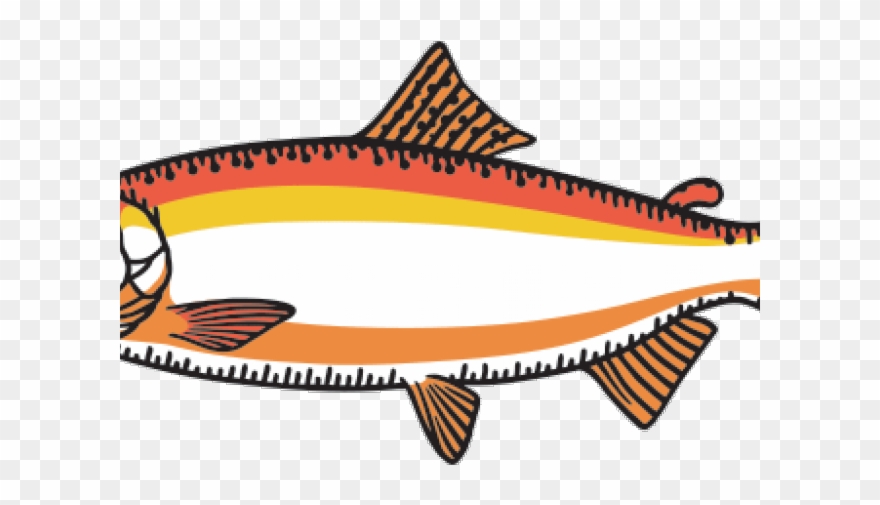 Salmon Clipart Orange Fish - Png Download