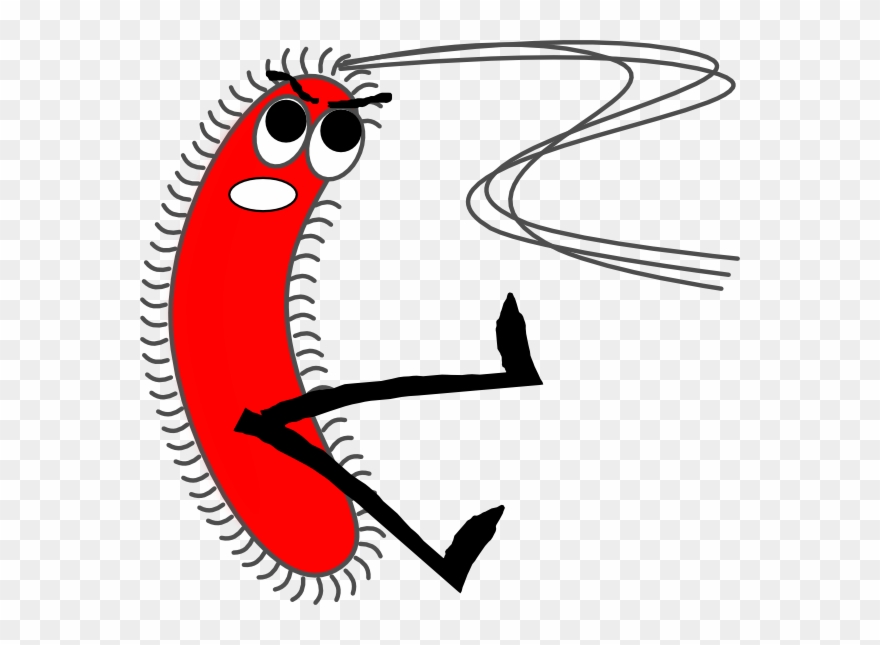 Bacteria Clipart Png Transparent Png