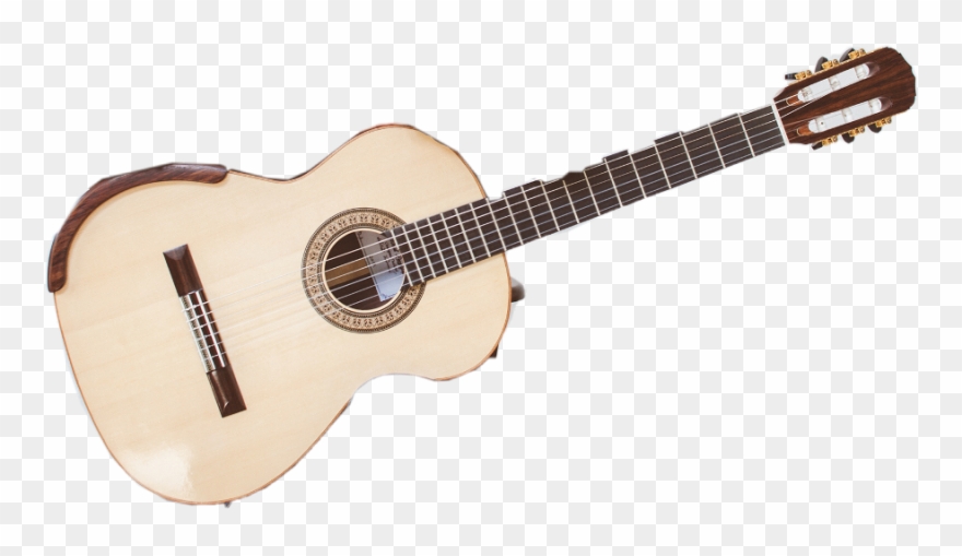 Seagull Sws Maritime Concert Hall Clipart