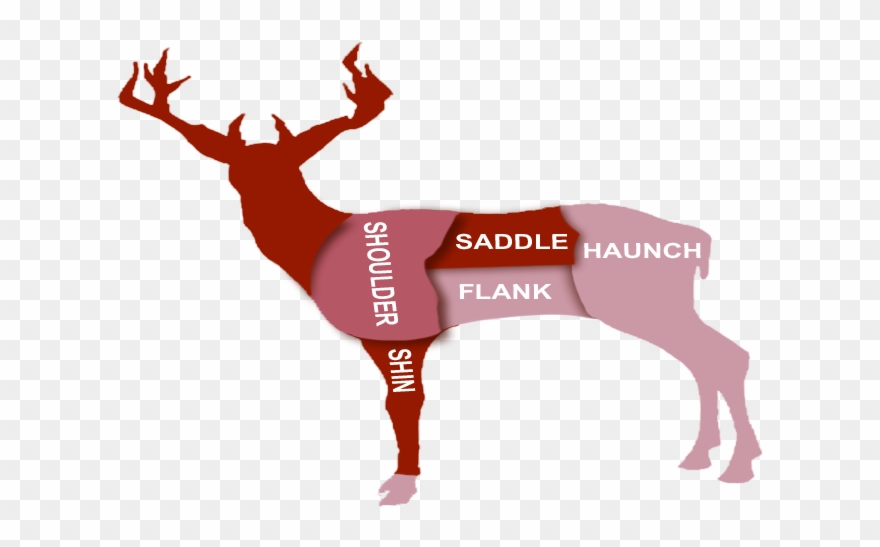 Cuts Greenwoods Butchers - Haunch Cut Of Meat Clipart