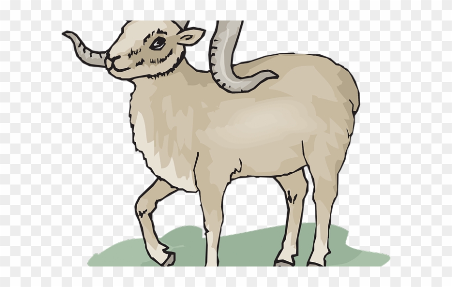 Dall Sheep Clipart Transparent - Cute Ram Clip Art - Png Download
