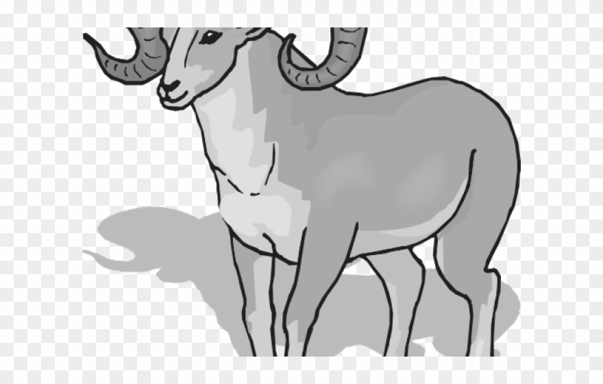 Bighorn Sheep Clipart - Bighorn Ram Head Clipart - Png Download