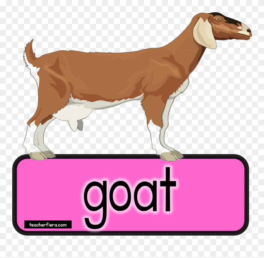 Goat Clipart Bakri - Goat - Png Download