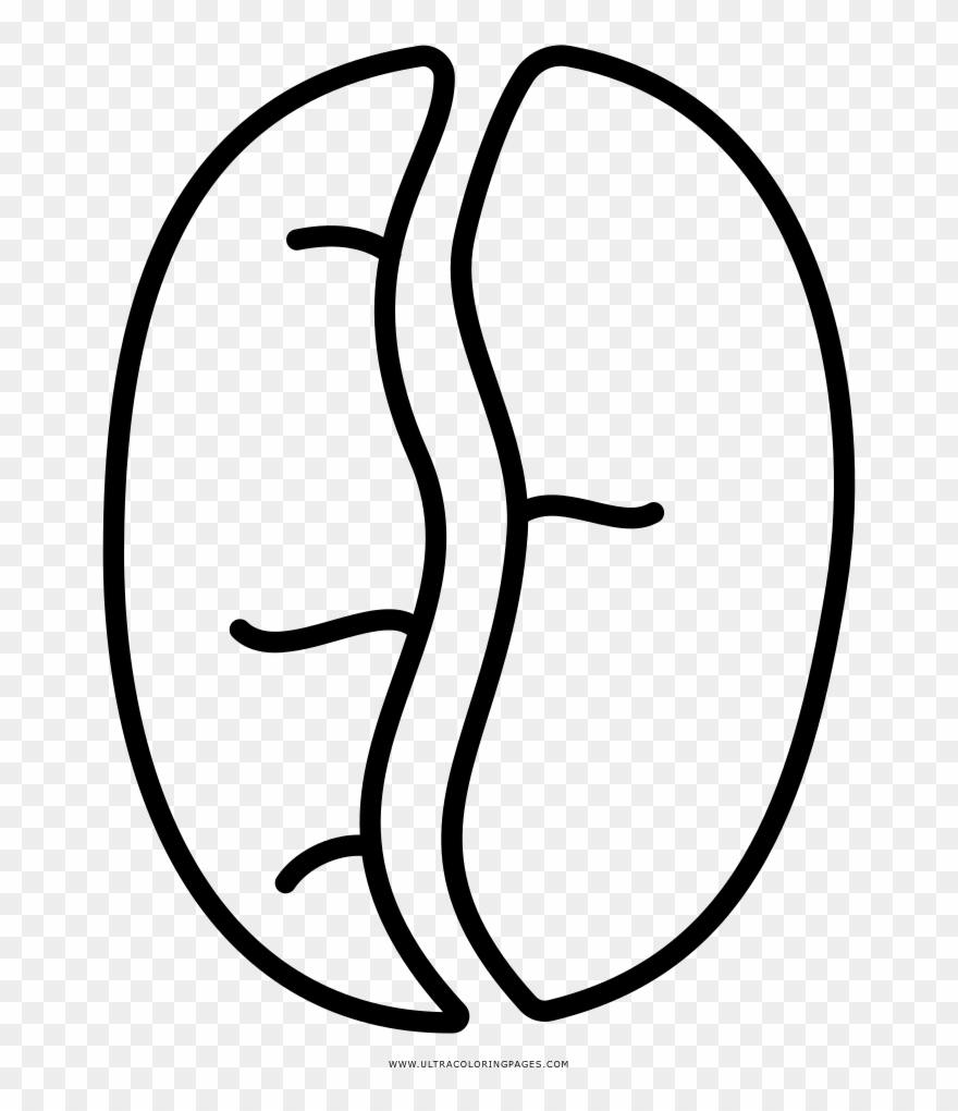 Coffee Bean Coloring Page - Line Art Clipart