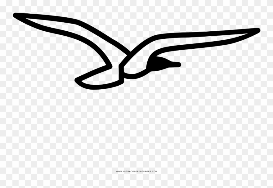 Seagull Coloring Page Clipart