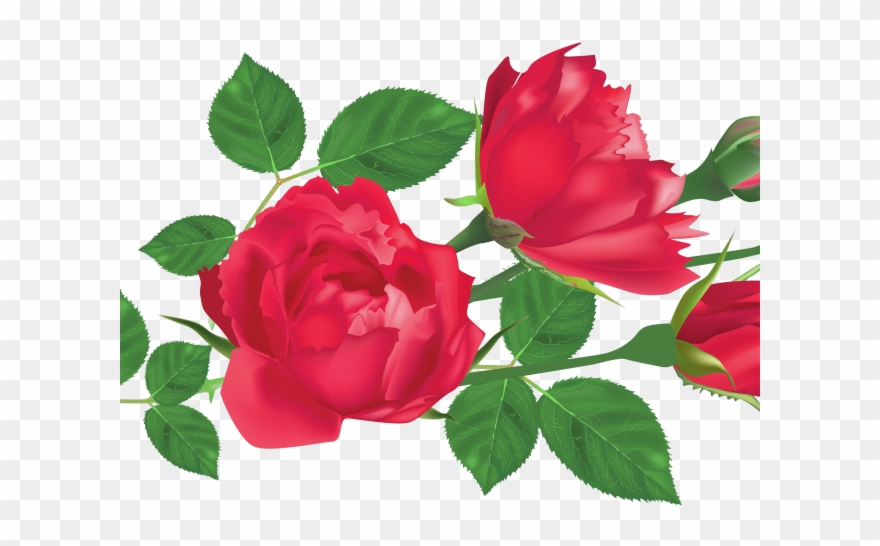 Red Rose Clipart Leaf Png - Png Rose Leaf Transparent Png