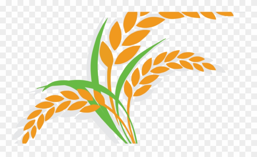 Cartoon Rice Clipart