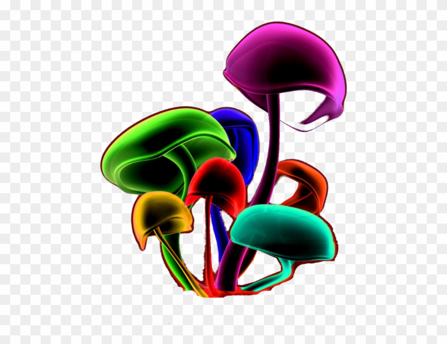 960 X 600 6 - Psilocybin Mushrooms Png Clipart
