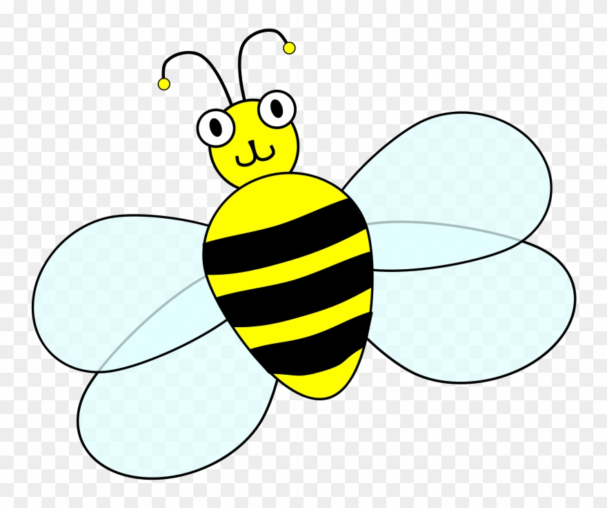 Clipart Of Contest, Contests And Spelling - Net-winged Insects - Png Download