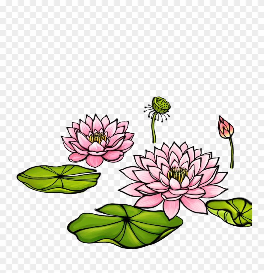 Clipart Transparent Library Watercolor Painting Illustration - Dessin Feuille De Lotus - Png Download
