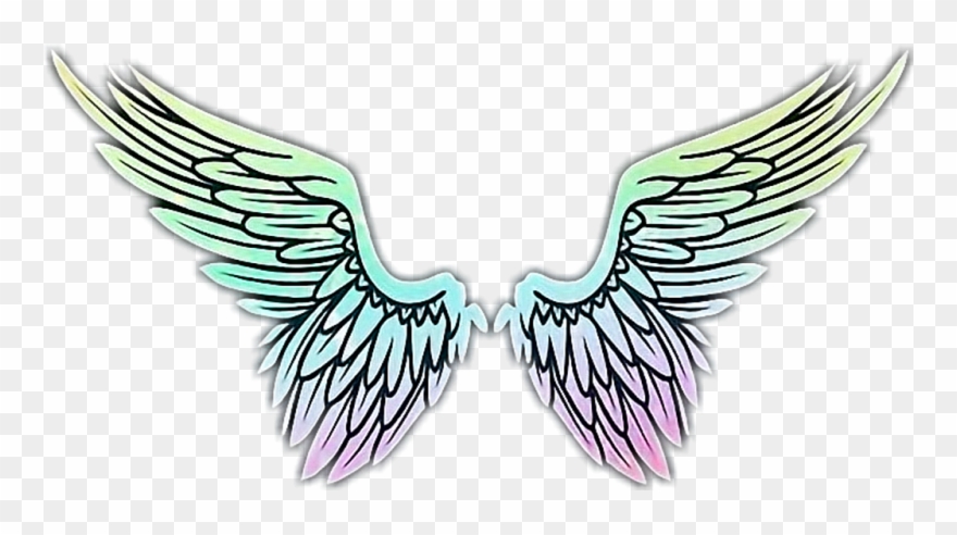 #wings #angel #flügel #engel #engelflügel #schön #beautiful - Les Anges De La Téléréalité Clipart
