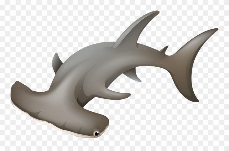 Фотки Unter Dem Meer, Clipart - Hammerhead Shark - Png Download