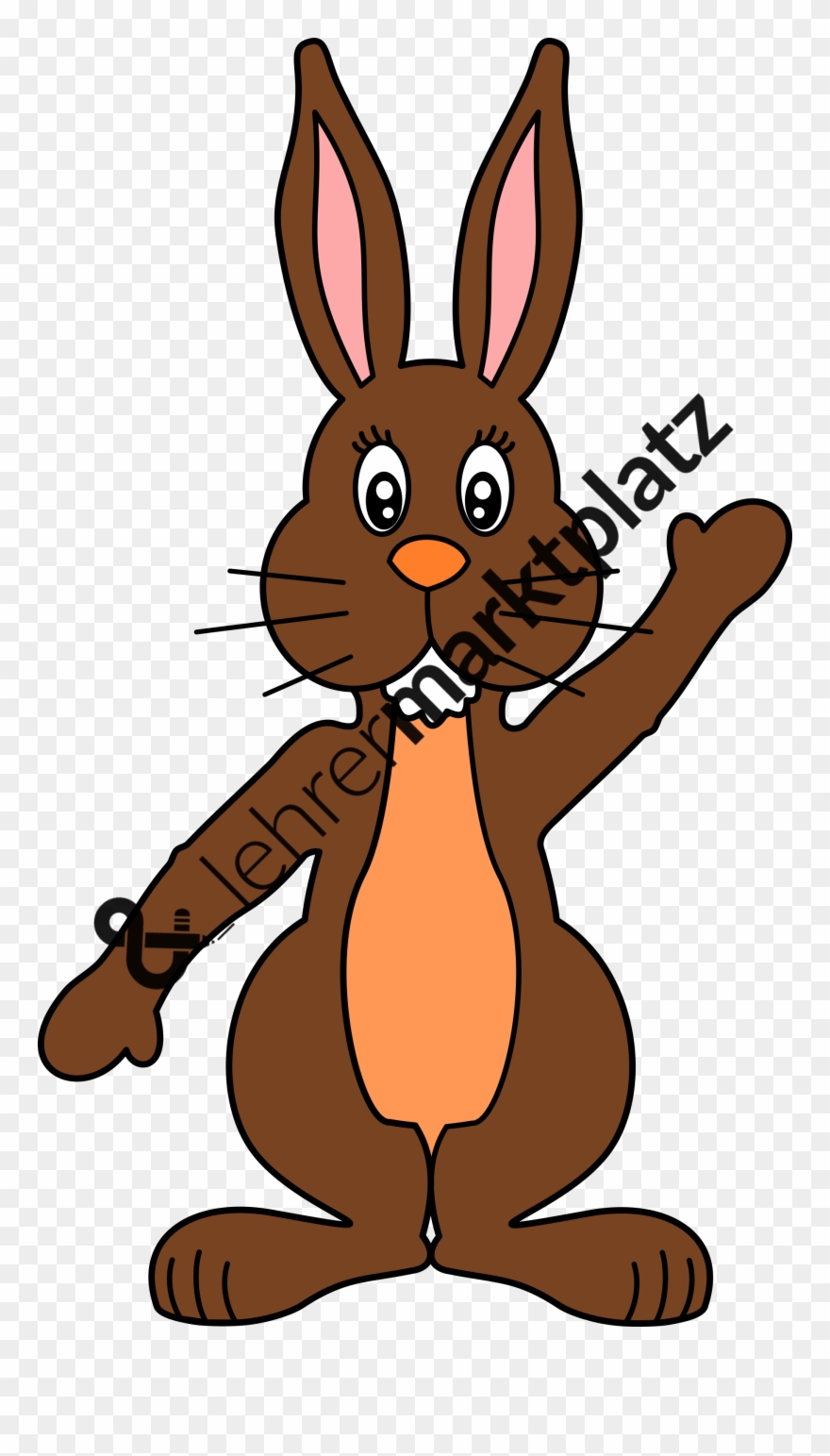 ‹ › - Domestic Rabbit Clipart