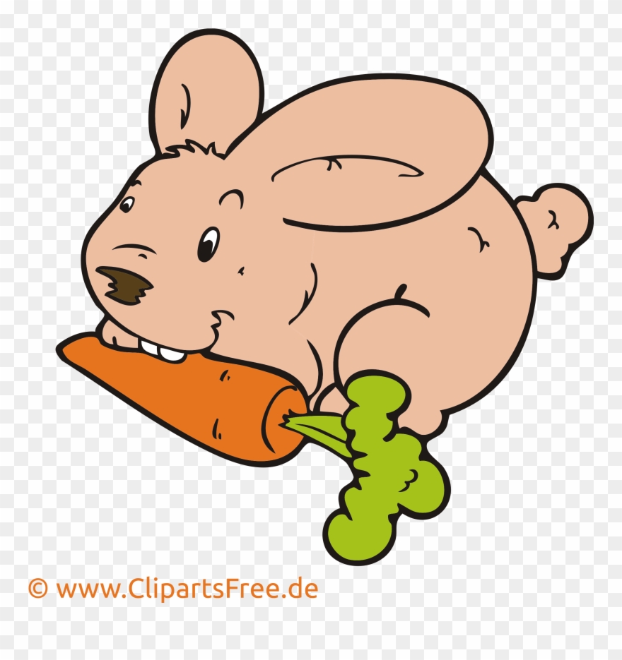 Kaninchen Clipart, Bild, Cartoon, Grafik, Illustration - Coloring Book - Png Download
