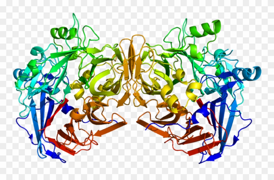 Greg Laden's Blog - Rpe65 Gene Clipart