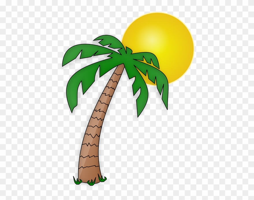 Die Untere Ist Für Mamas - Transparent Background Palm Tree Clipart - Png Download