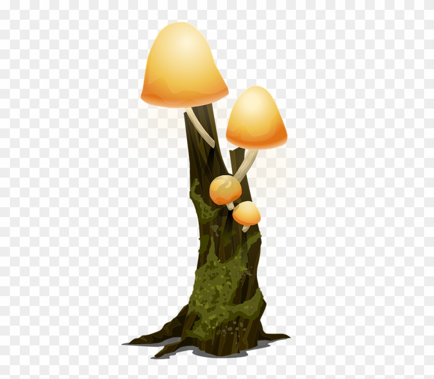 Hier - Arboles Del Bosque Png Clipart