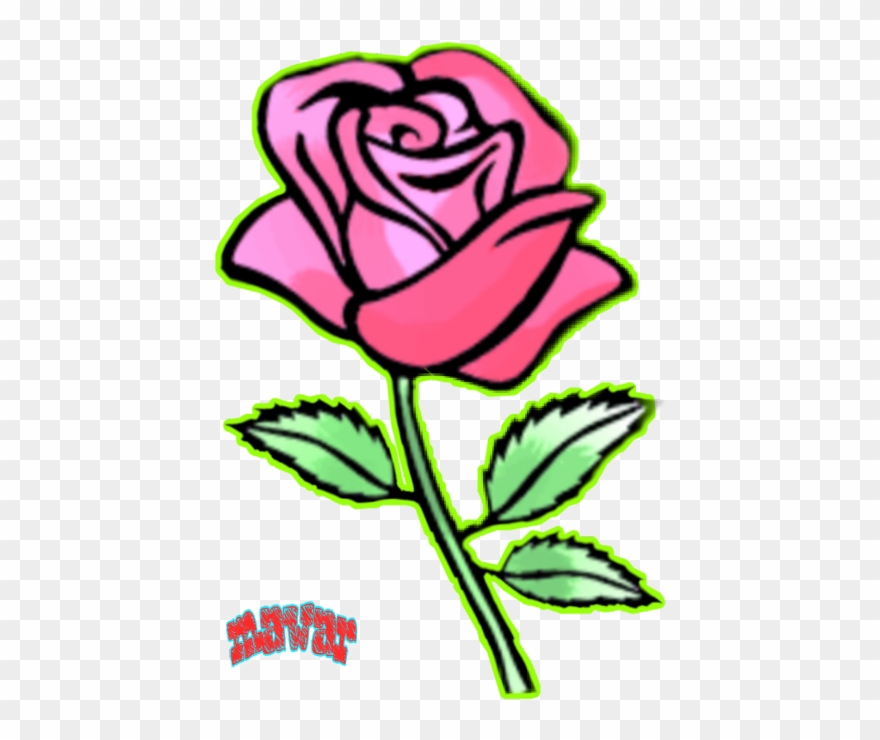Rose Flowers Images Drawing Clipart