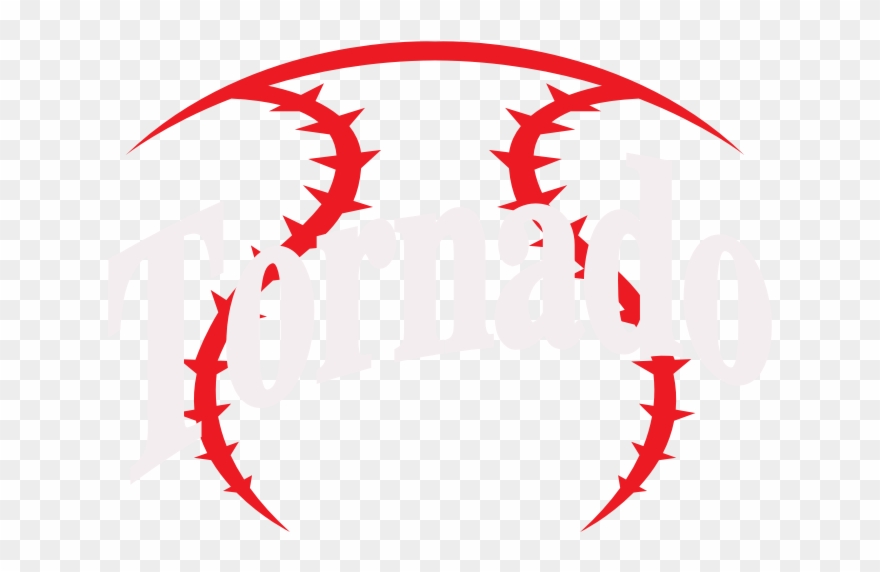 Nm Youth Baseball Clipart