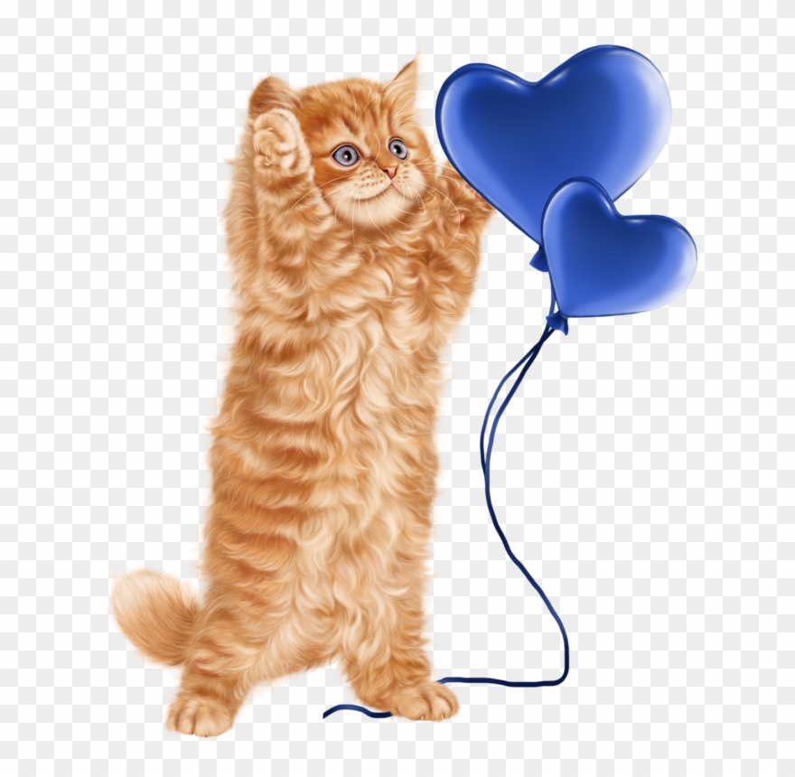 Cat In Magic Hat Clipart