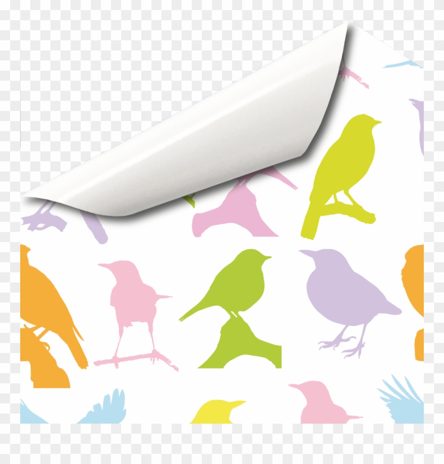 Bunte Vögel Klebefolie Dekor Muster Dekorfolie - Illustration Clipart