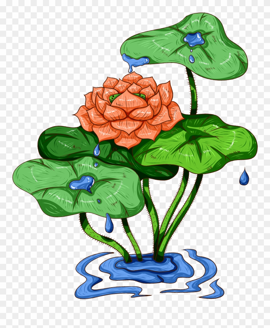 Original Werbung Handgemalt Pflanze Png Und Psd - Nymphaea Nelumbo Clipart