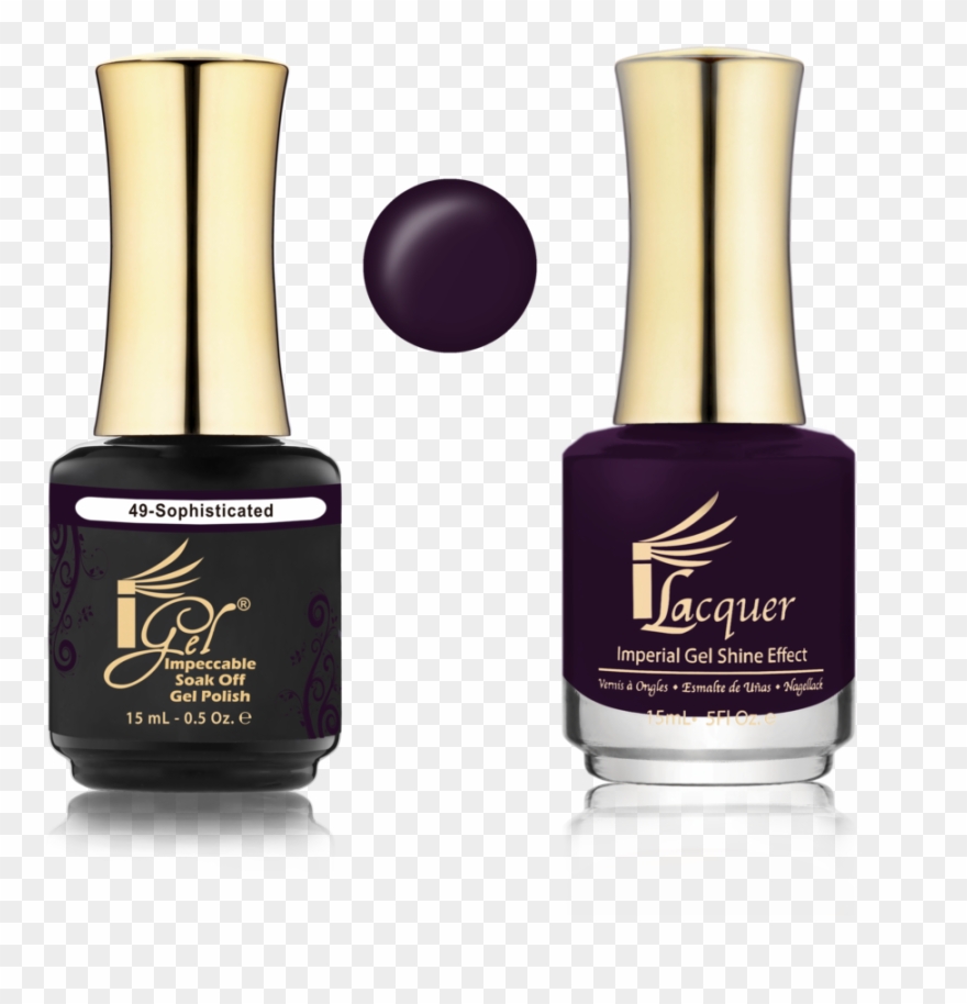 Igel Technology Clipart