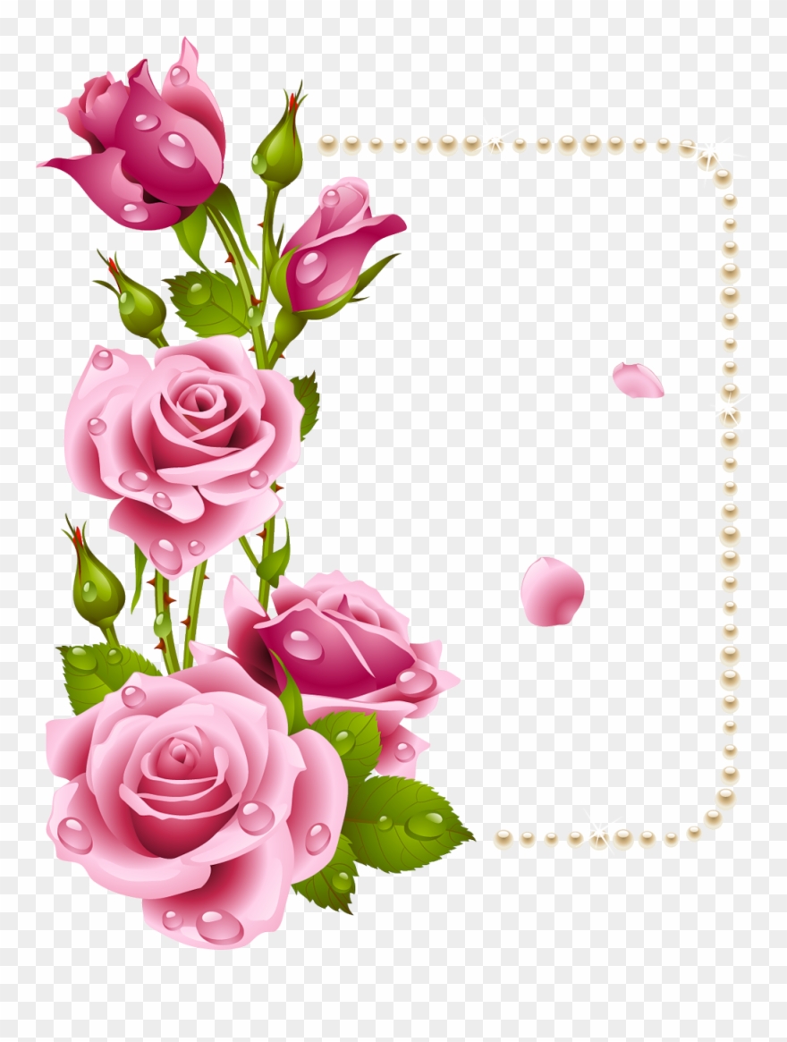 Flores Pink Rose Frame Clipart 4038863 Pinclipart