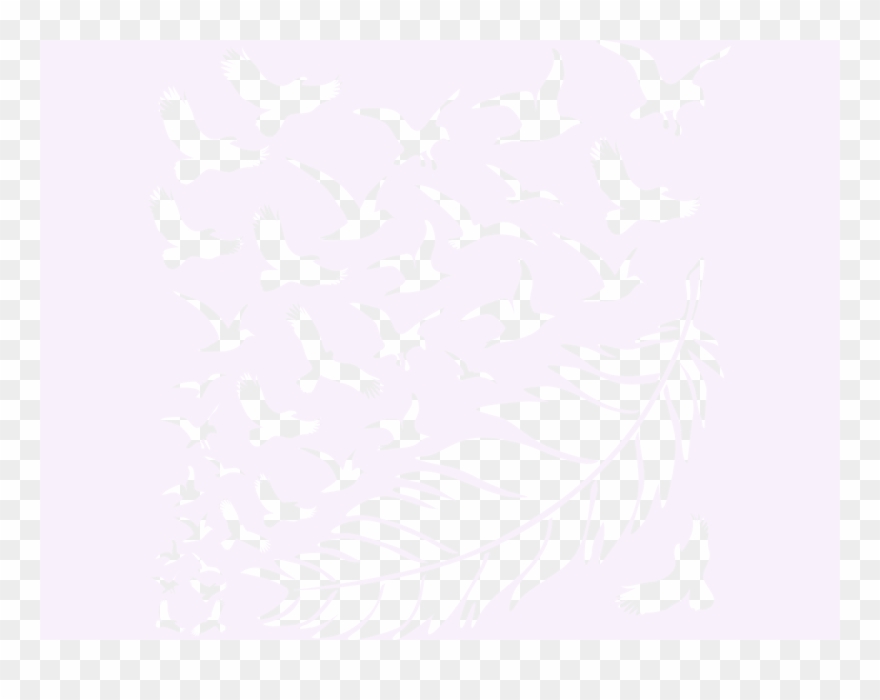 Wandtattoo Vogel Feder Natur Wohnzimmer Küche Schlafzimmer - Feather Flying Birds Png Clipart