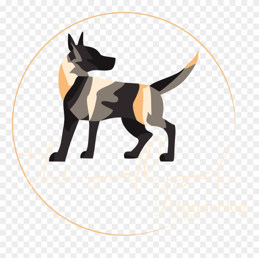 The Small Pack - Dog Catches Something Clipart