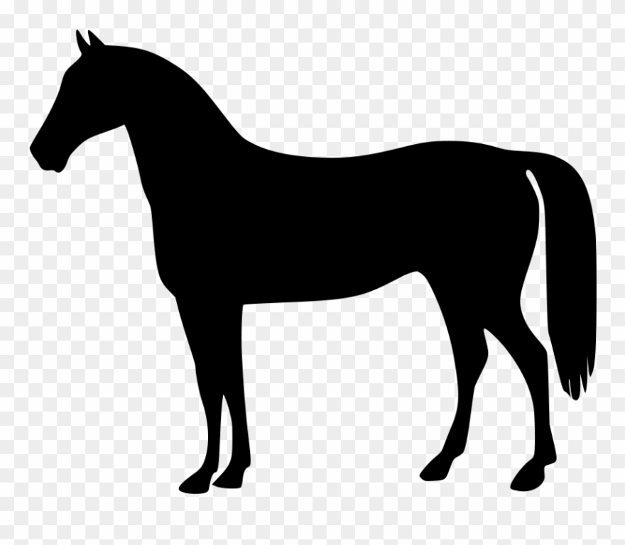 Clipart Of Horses, Horse The And 2 Horse - Horse Standing Silhouette - Png Download