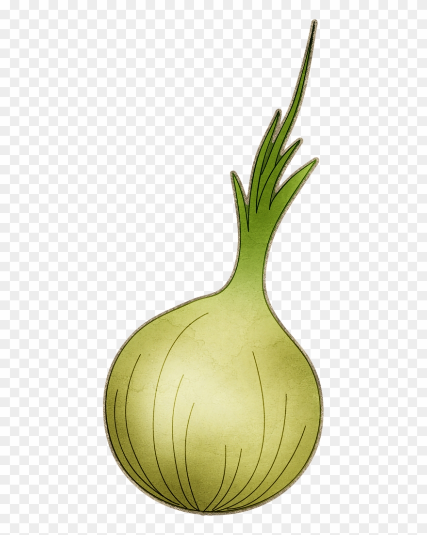 Que Te Como*✿* Fruits And Veggies, - Root Vegetable Clipart