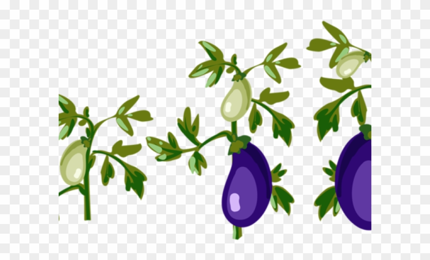 Eggplant Clipart Leaf - Cartoon Tomato Plant Png Transparent Png