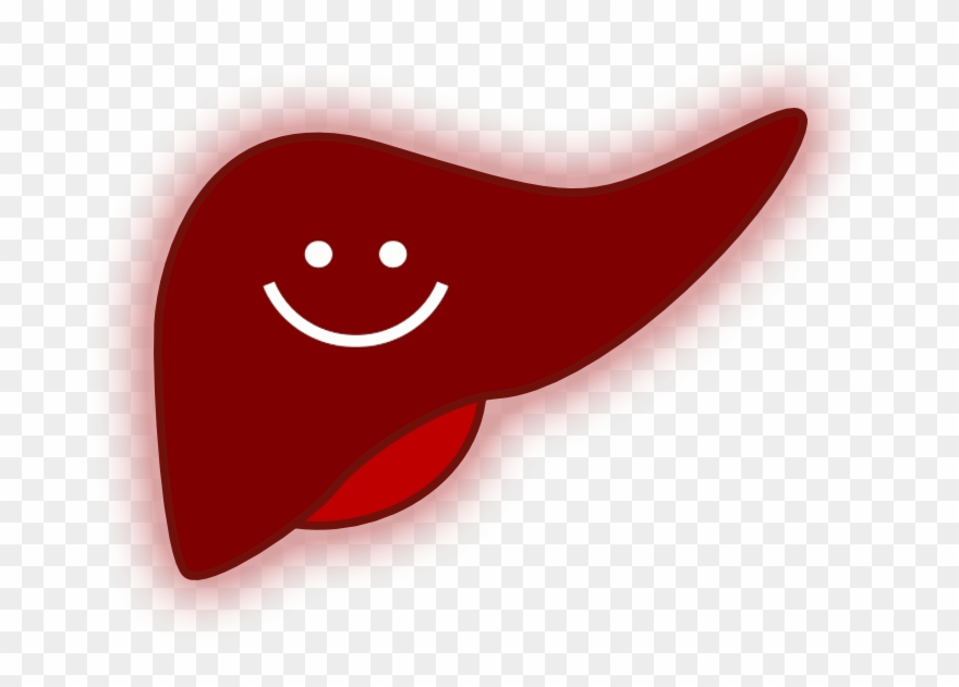 Fruits Good For Liver Clipart