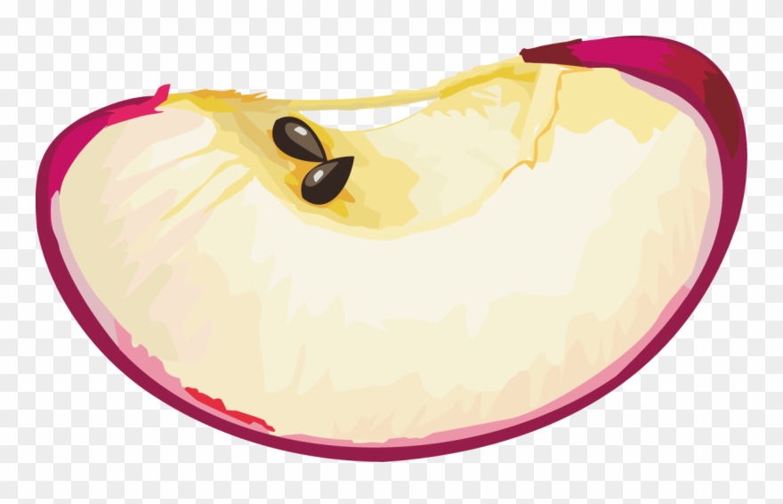 Pomme Tranche Vector - Illustration Clipart