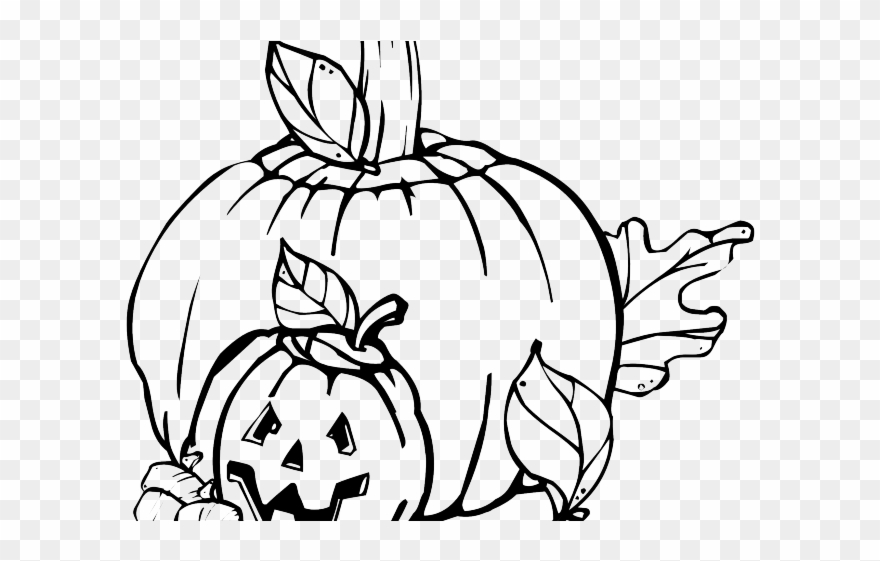 Drawn Pumpkin Outline - Pumpkin Patch Clip Art Black And White - Png Download