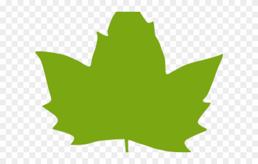 Leaves Clipart Pumpkin - Clipart Green Maple Leaf - Png Download