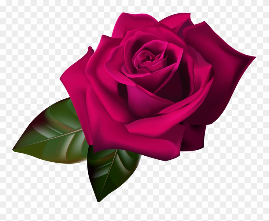 Png Sarı Kırmızı Mavi Gül Resimleri Indir,png Yellow Clipart