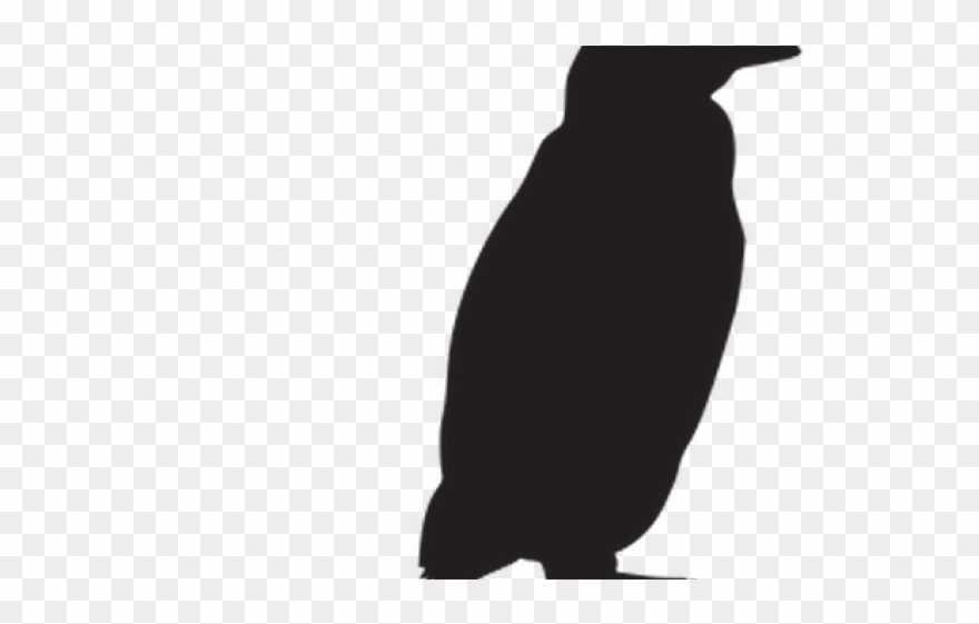 Adã©lie Penguin Clipart