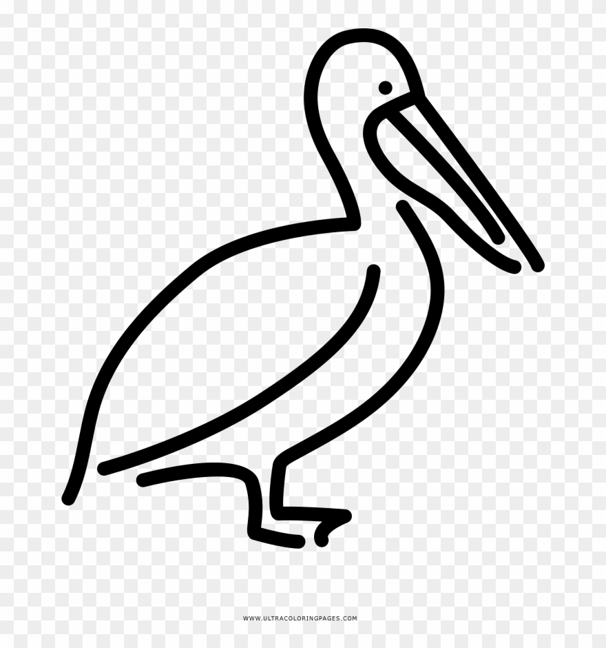 Pelican Coloring Page - Duck Clipart