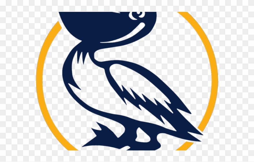 Sea Bird Clipart Pelican - Png Download