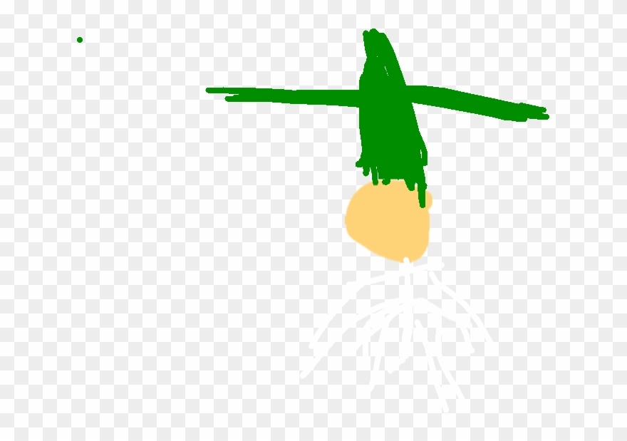 Seed With Leaf - Illustration Clipart