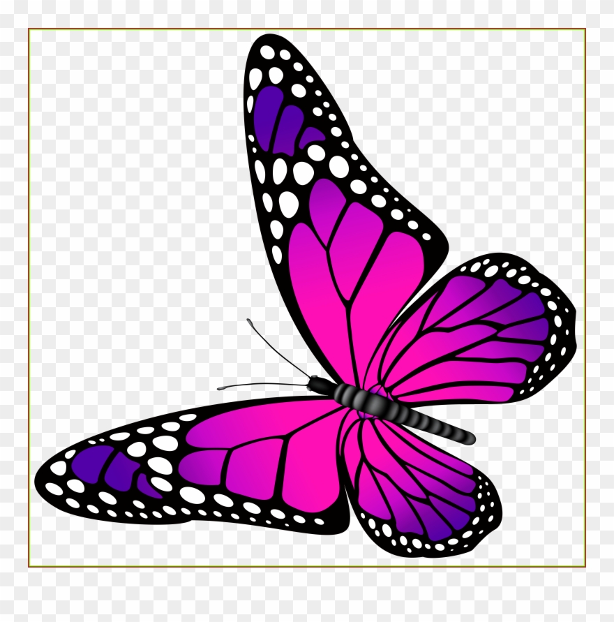 Amazing Orange Butterfly Png Clip Art Image Ⓒ Transparent Png