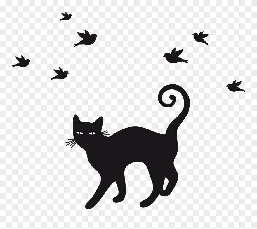 Vektörel Kedi - Camiseta Feminina De Gato Clipart