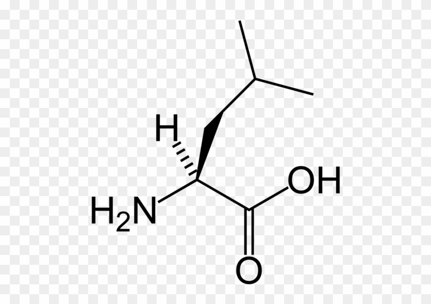 They Didn't Control For Total Protein Intake Or Finished - Amino Acid Clipart
