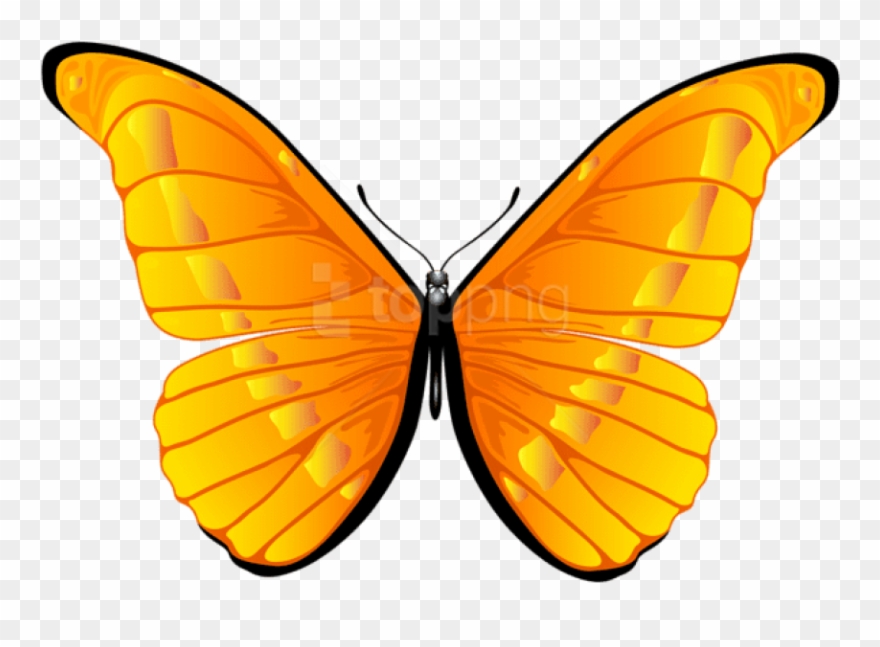 Free Png Download Orange Butterfly Clipart Png Photo - Yellow Orange Butterfly Png Transparent Png