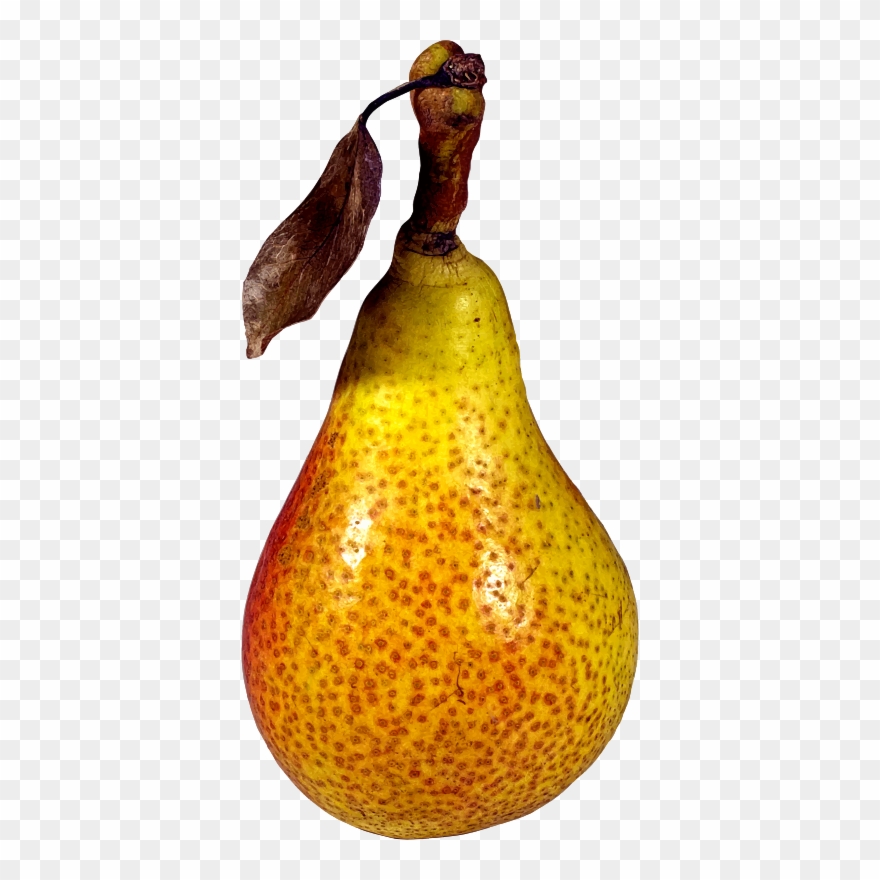 398 X 800 1 - Pear Clipart