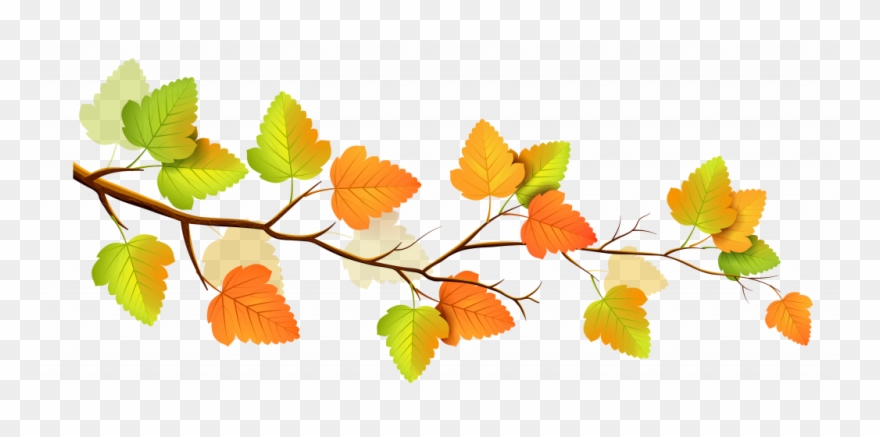 Download Fall Clip Art Free - Branch Fall Leaves Clip Art - Png Download