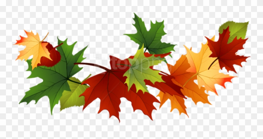 Free Png Download Fall Transparent Leaves Clipart Png - Transparent Background Fall Leaves Clip Art