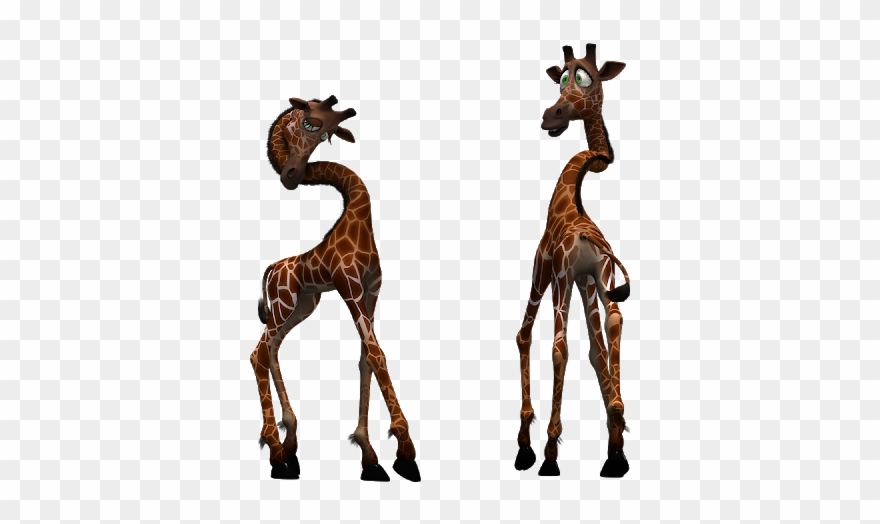 Giraffe Clip Art, Giraffe Silhouette Clip Art, Giraffe - Giraffe - Png Download